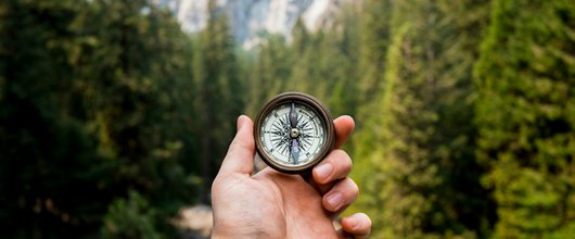 Die Bedeutung von Networking und Mentoring für erfolgreiche Finanzierungsrunden