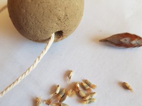 Birke- Kakao Süße Variation (Kekse oder Brot)
