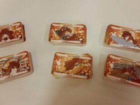 CasXingo - Das Spiel zu Deiner finanziellen Freiheit