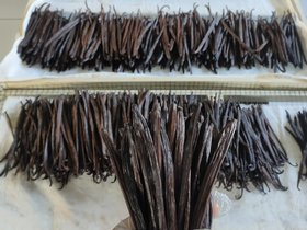 Vanille B, Ernte 2025 – Familien- und Freundepaket 20 Schoten (Gourmet) - im Fünferpack, 4*5 Schoten - zum Vorteilspreis