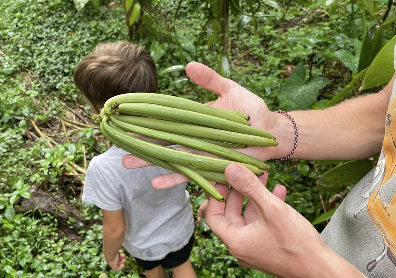 Ikani – Vanille mit Ursprung