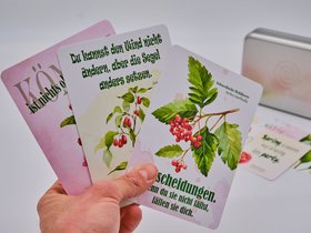 Die "Wilde" Zitate-Box