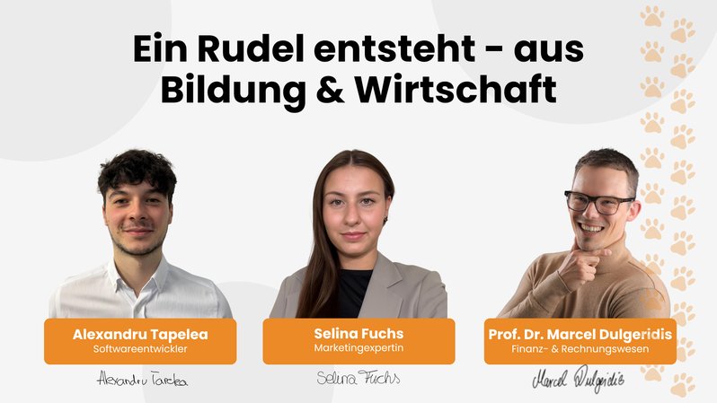 Teamwork makes the dream work: Wir stellen uns vor