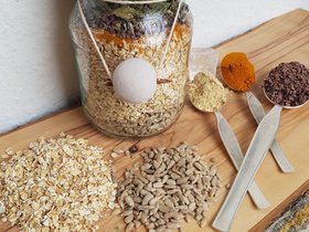 Birke- Kakao Süße Variation (Kekse oder Brot)