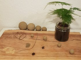 Brennnesselpower Herzhafte Variation (Knusprige Brotscheiben oder Brot) 