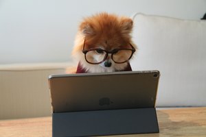 Skill-on-Demand: Wie du gezielt Fachwissen einkaufst statt einstellst