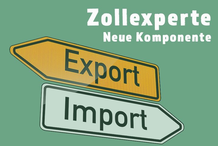 Von Anlieferung bis Zoll: Der  Zollexperte unterstützt Sie bei Einfuhr und Ausfuhr